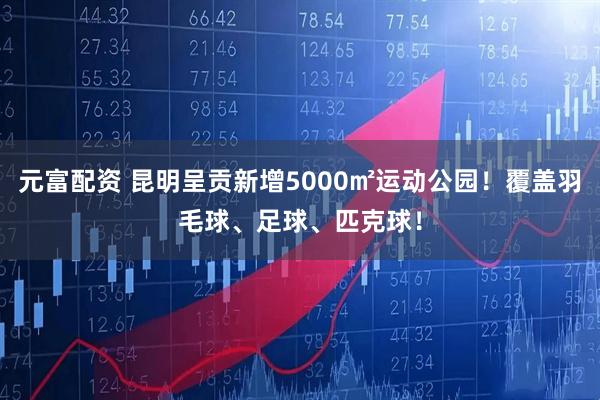 元富配资 昆明呈贡新增5000㎡运动公园！覆盖羽毛球、足球、匹克球！