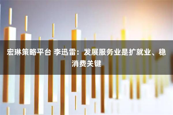 宏琳策略平台 李迅雷：发展服务业是扩就业、稳消费关键