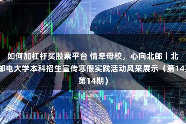 如何加杠杆买股票平台 情牵母校，心向北邮丨北京邮电大学本科招生宣传寒假实践活动风采展示（第14期）